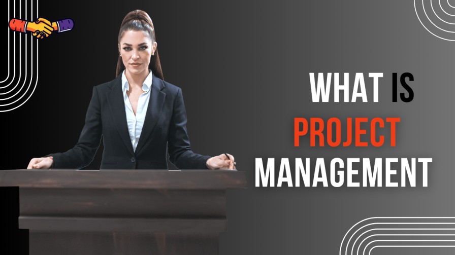 what is project management