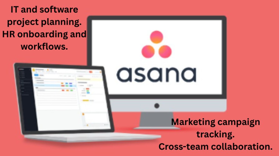 Asana (Task & Workflow Management)